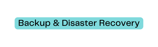 Backup Disaster Recovery